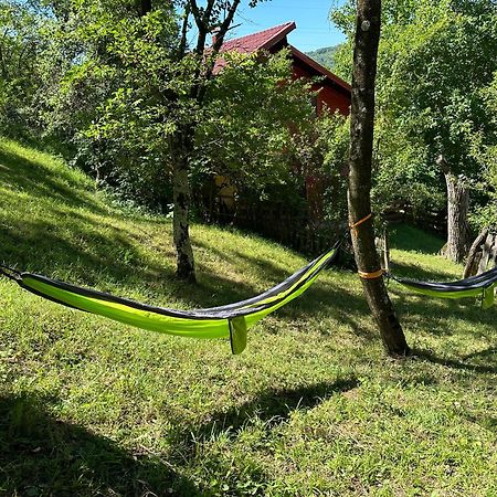 Vila Casa Lupilor Transfagarasan Căpăţîneni-Ungureni Exteriér fotografie