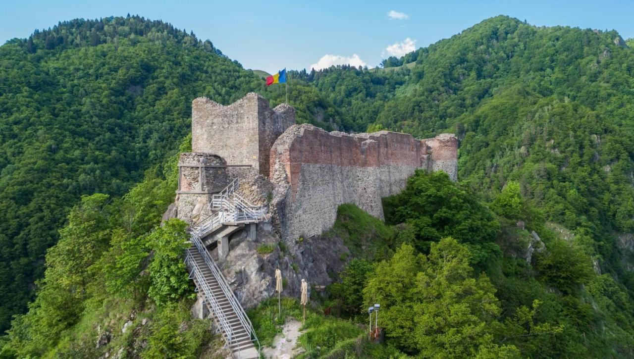 Vila Casa Lupilor Transfagarasan Căpăţîneni-Ungureni Exteriér fotografie