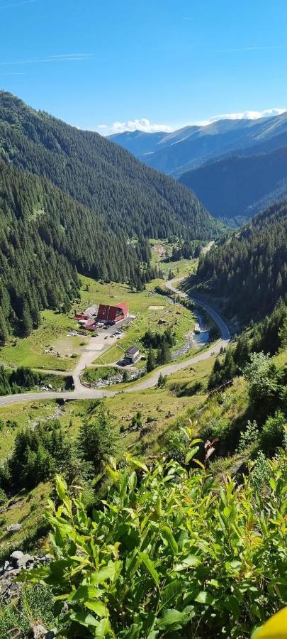 Vila Casa Lupilor Transfagarasan Căpăţîneni-Ungureni Exteriér fotografie