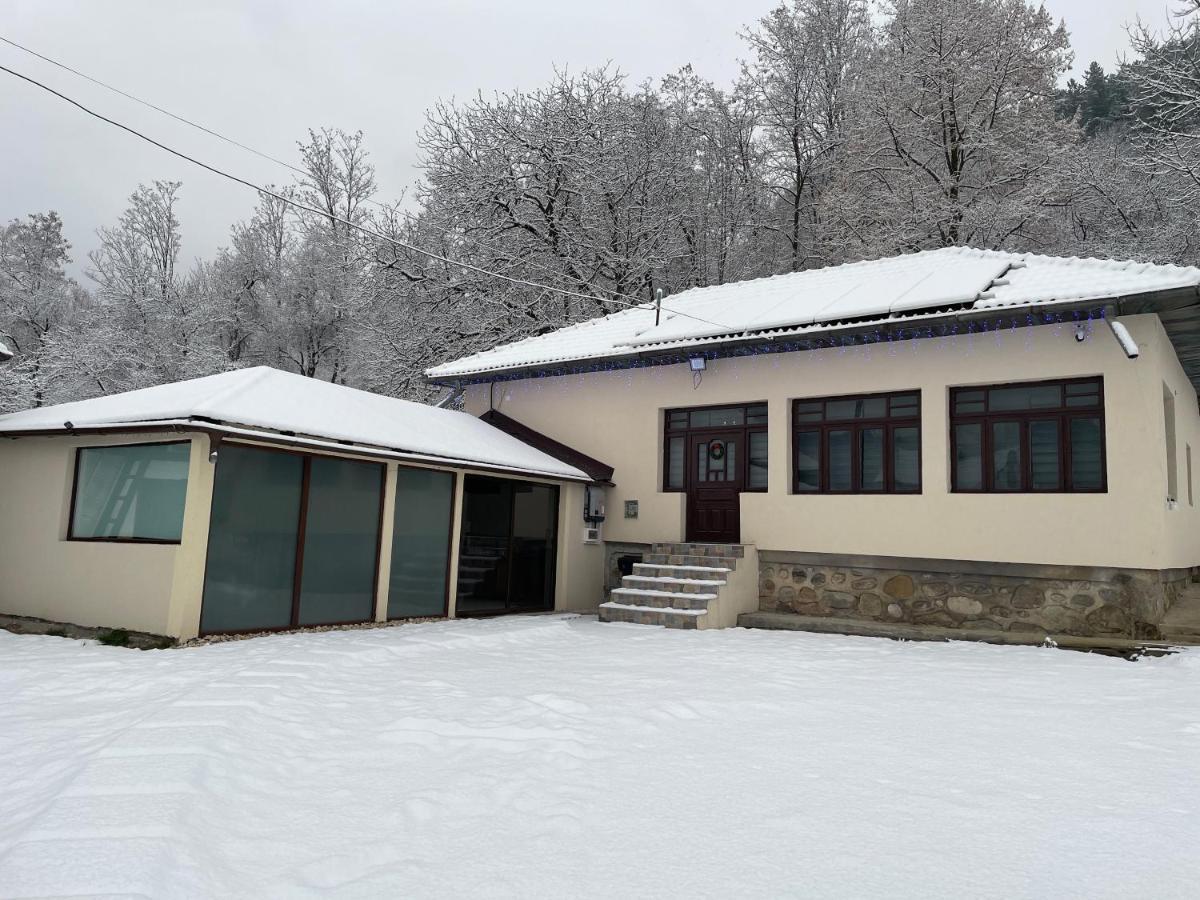 Vila Casa Lupilor Transfagarasan Căpăţîneni-Ungureni Exteriér fotografie