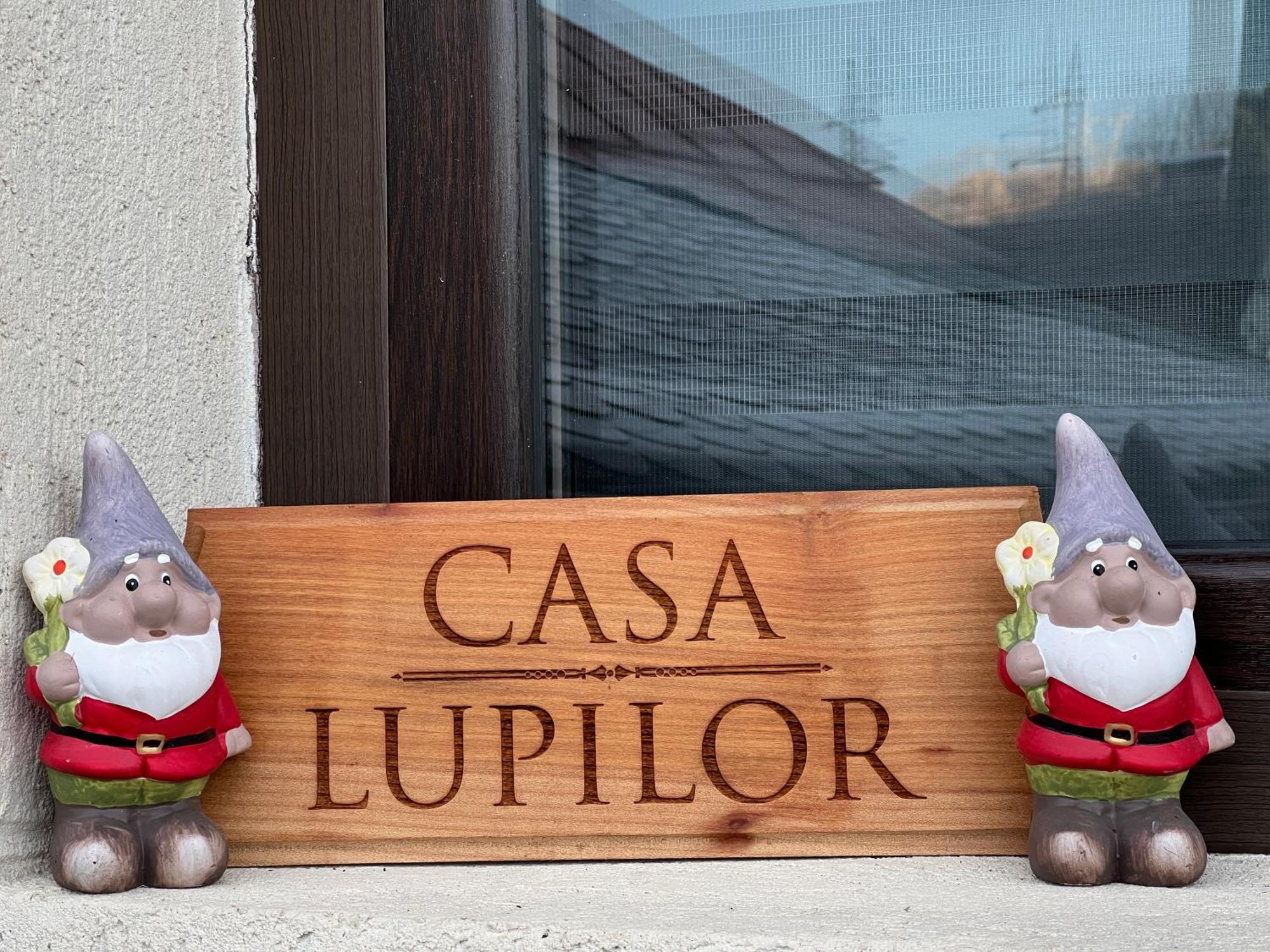 Vila Casa Lupilor Transfagarasan Căpăţîneni-Ungureni Exteriér fotografie