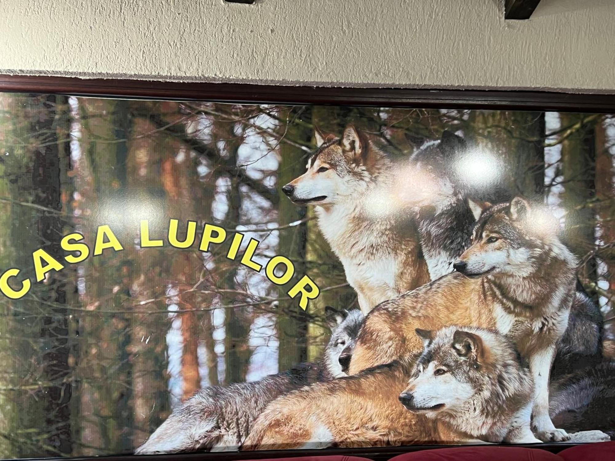 Vila Casa Lupilor Transfagarasan Căpăţîneni-Ungureni Exteriér fotografie