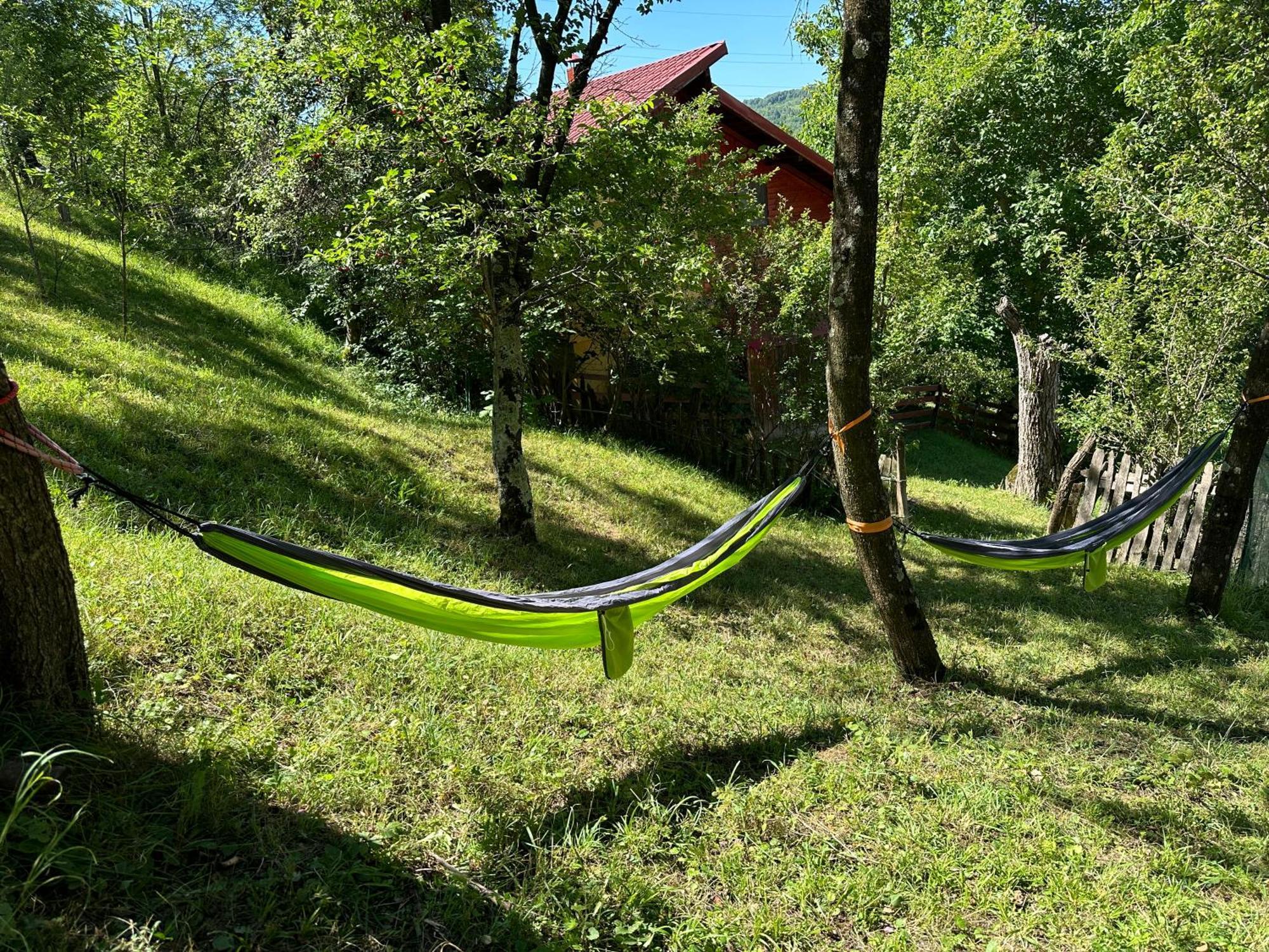 Vila Casa Lupilor Transfagarasan Căpăţîneni-Ungureni Exteriér fotografie