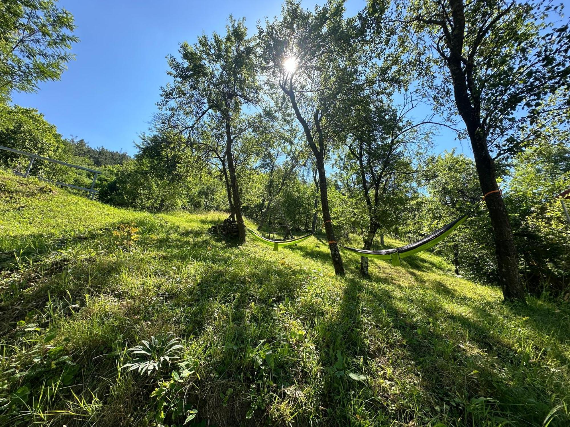 Vila Casa Lupilor Transfagarasan Căpăţîneni-Ungureni Exteriér fotografie